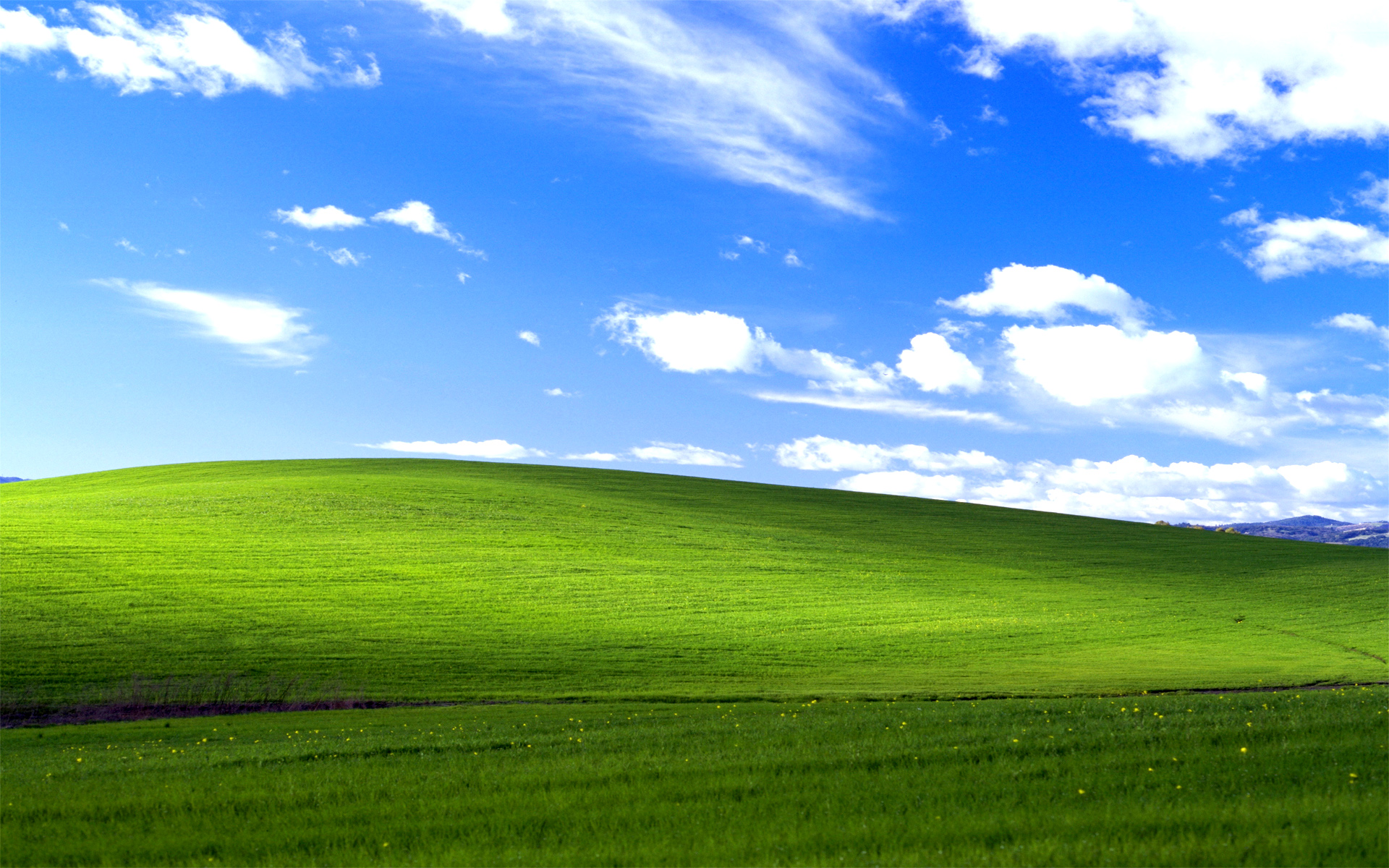 The History Behind Microsoft XP’s “Bliss” Background