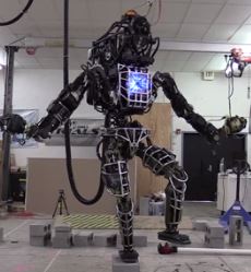 What Role Will Robots Play in Our Future?