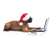 Happy Holidays from Newegg!