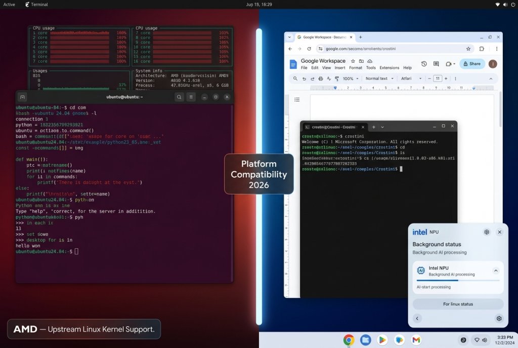 Linux AMD vs ChromeOS Intel split.