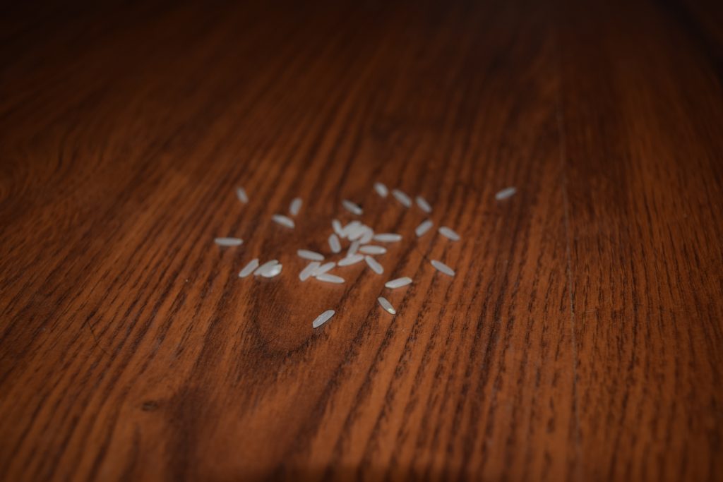 Rice